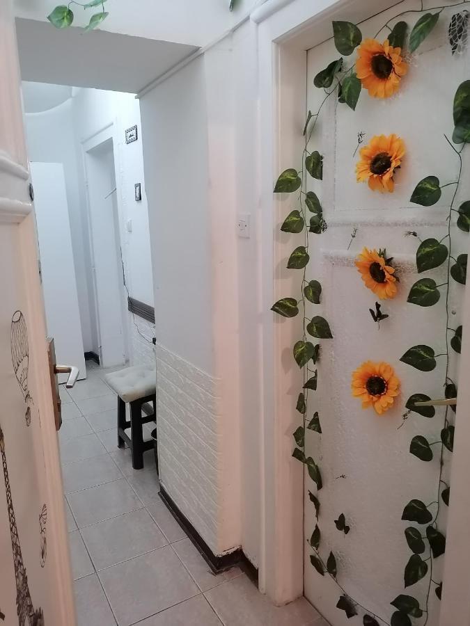 Low Cost Apartment Belgrád Kültér fotó