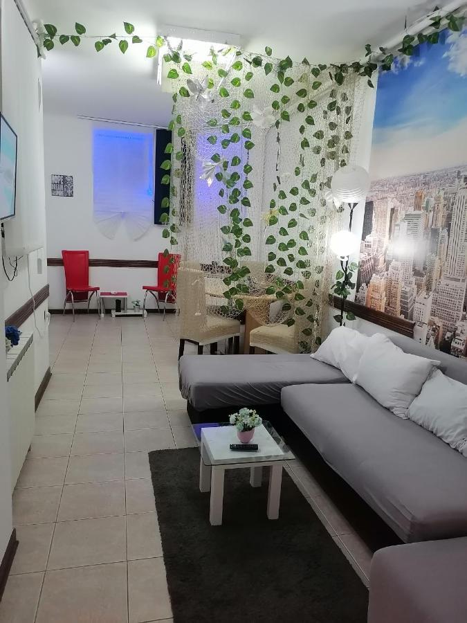 Low Cost Apartment Belgrád Kültér fotó