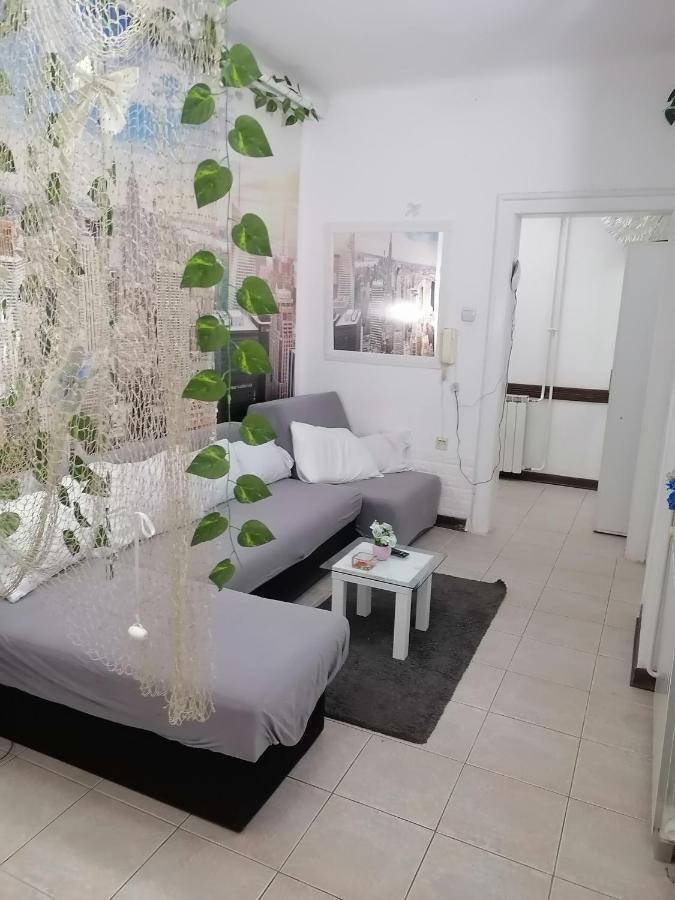 Low Cost Apartment Belgrád Kültér fotó